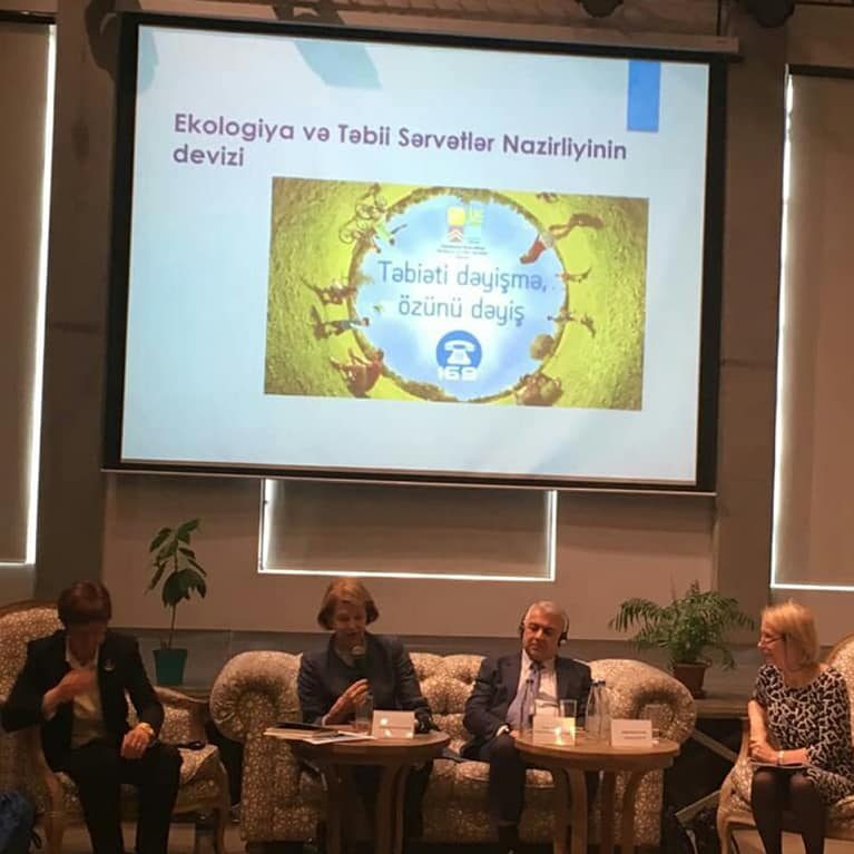 53317808_2196608110419412_3669982647431462912_n